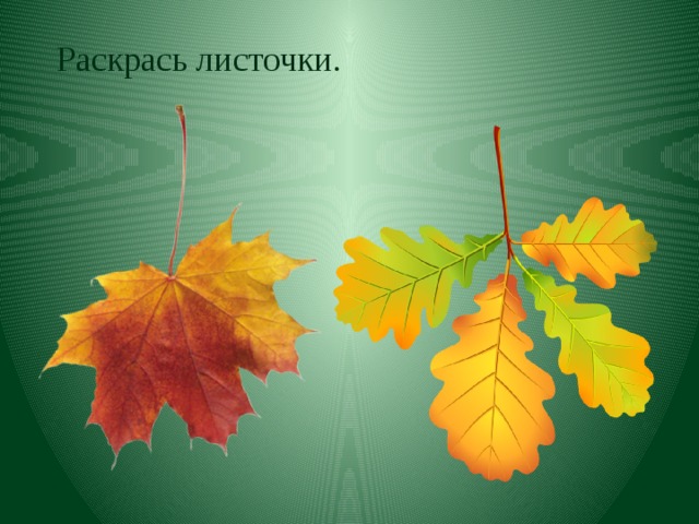 Раскрась листочки. 