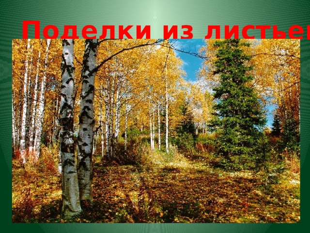 Поделки из листьев. 