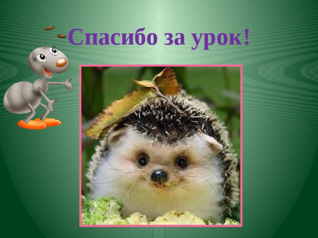  Спасибо за урок! 