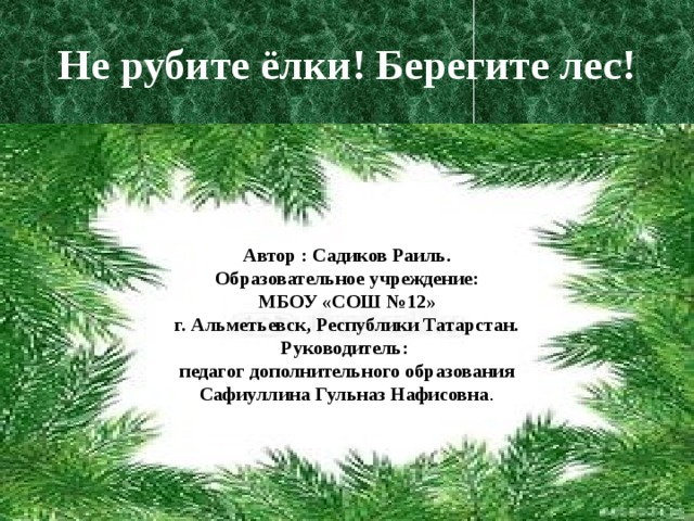 . Не рубите ёлки! Берегите лес!   Автор : Садиков Раиль. Образовательное учреждение: МБОУ «СОШ №12» г. Альметьевск, Республики Татарстан. Руководитель: педагог дополнительного образования Сафиуллина Гульназ Нафисовна . 