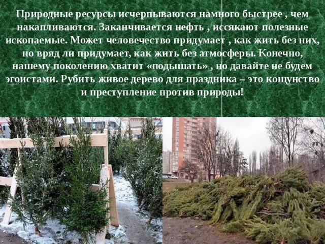 Природные ресурсы исчерпываются намного быстрее , чем накапливаются. Заканчивается нефть , иссякают полезные ископаемые. Может человечество придумает , как жить без них, но вряд ли придумает, как жить без атмосферы. Конечно, нашему поколению хватит «подышать» , но давайте не будем эгоистами. Рубить живое дерево для праздника – это кощунство и преступление против природы!   