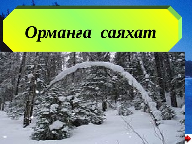 Орманға саяхат     