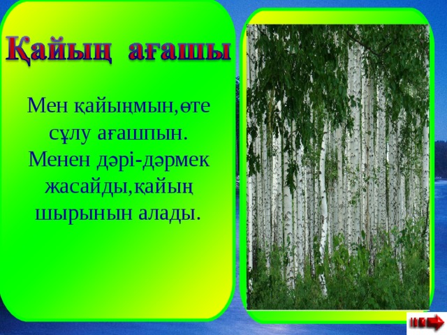  Мен қайыңмын,өте сұлу ағашпын. Менен дәрі-дәрмек жасайды,қайың шырынын алады. 