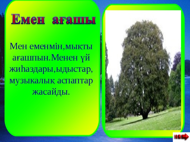  Мен еменмін,мықты ағашпын.Менен үй жиhаздары,ыдыстар,музыкалық аспаптар жасайды. 