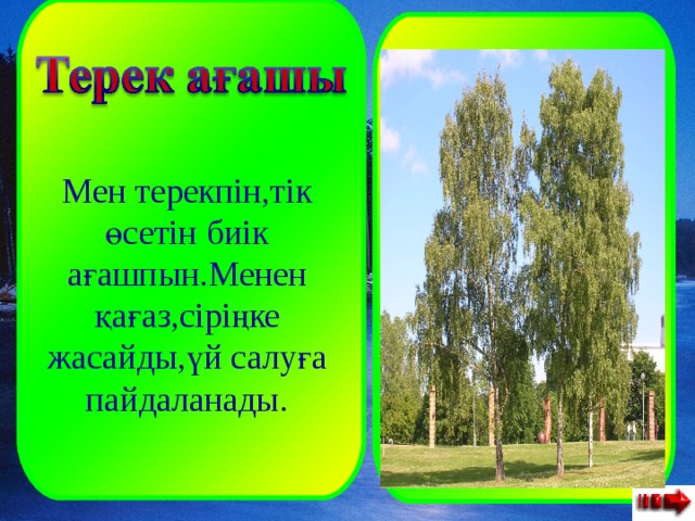  Мен терекпін,тік өсетін биік ағашпын.Менен қағаз,сіріңке жасайды,үй салуға пайдаланады. 