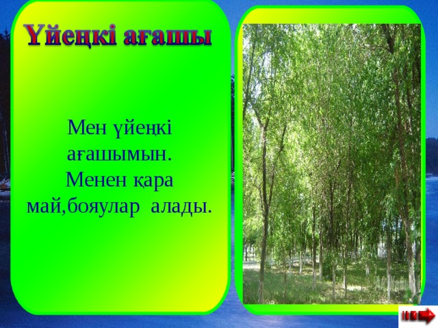  Мен үйеңкі ағашымын. Менен қара май,бояулар алады. 