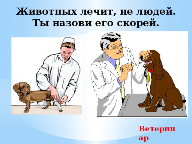 Животных лечит, не людей.  Ты назови его скорей. Ветеринар 