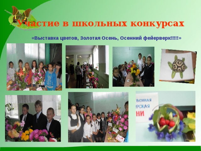 Участие в школьных конкурсах «Выставка цветов, Золотая Осень, Осенний фейерверк!!!!!»   