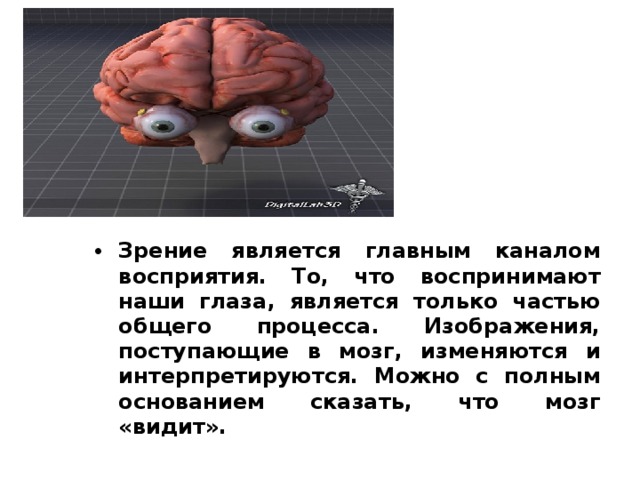 Зрение является главным каналом восприятия. То, что воспринимают наши глаза, является только частью общего процесса. Изображения, поступающие в мозг, изменяются и интерпретируются. Можно с полным основанием сказать, что мозг «видит».  