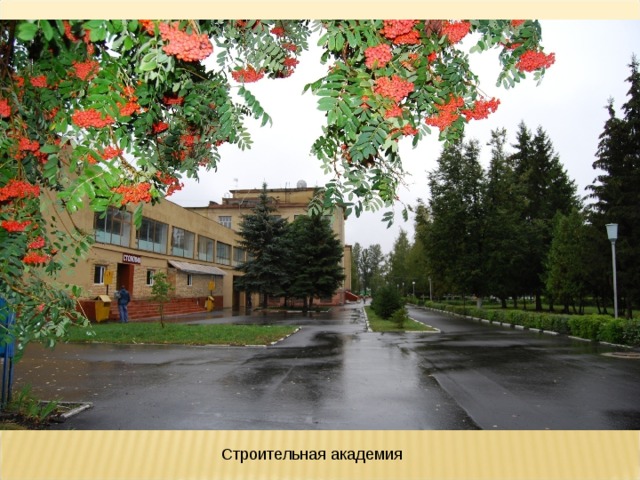 Строительная академия 