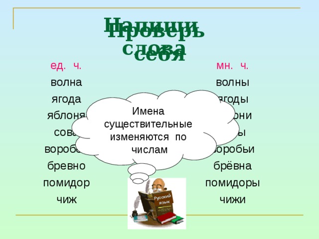 Русский  язык Напиши слова Проверь себя ед. ч. волна ягода яблоня сова воробей бревно помидор чиж мн. ч. волны ягоды яблони совы воробьи брёвна помидоры чижи Имена существительные изменяются по числам 