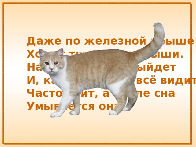 Даже по железной крыше  Ходит тихо, тише мыши.  На охоту ночью выйдет  И, как днём, она всё видит.  Часто спит, а после сна  Умывается она. 