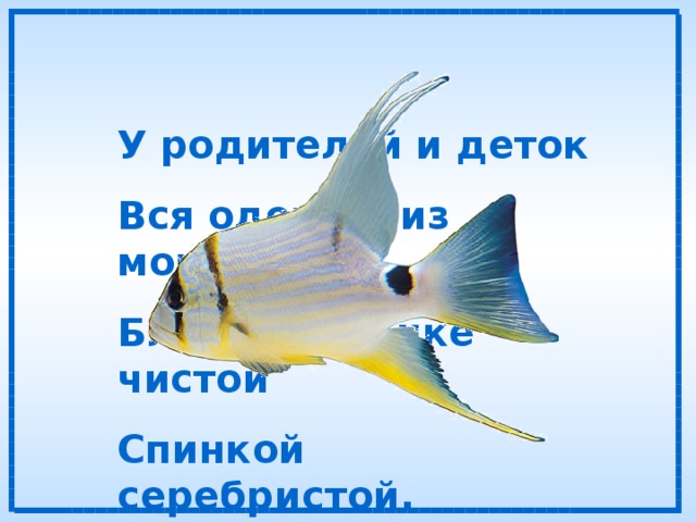 У родителей и деток Вся одежда из монеток. Блещут в речке чистой Спинкой серебристой. 