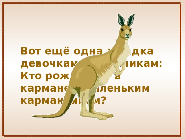 Вот ещё одна загадка девочкам и мальчикам: Кто рождается в кармане с маленьким карманчиком?  