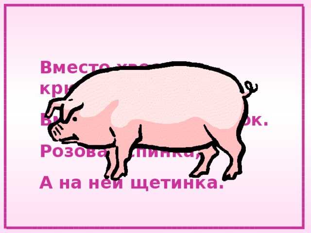 Вместо хвостика – крючок. Вместо носа – пятачок. Розовая спинка, А на ней щетинка. 