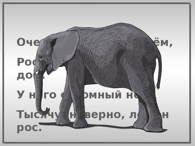 Очень много силы в нём, Ростом он почти что с дом. У него огромный нос, Тысячу, наверно, лет он рос. 