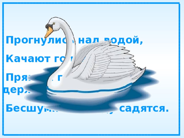  Прогнулись над водой,  Качают головой.  Прямо и гордо умеют держаться,  Бесшумно на воду садятся. 