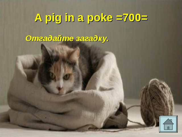 A pig in a poke =700= Отгадайте загадку.  