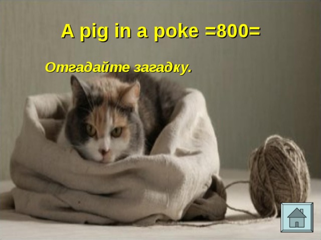 A pig in a poke =800= Отгадайте загадку. 