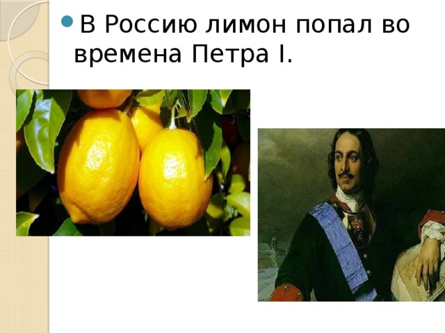 В Россию лимон попал во времена Петра I. 