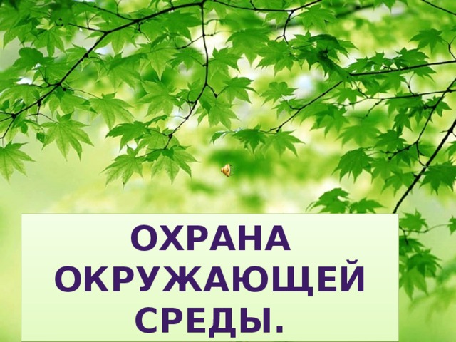 Охрана окружающей среды. 