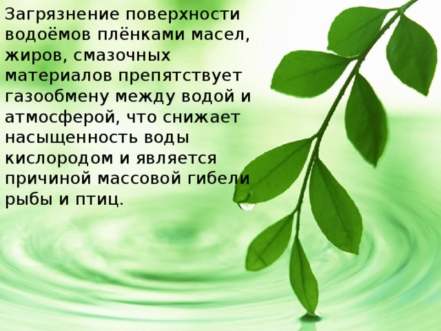 Загрязнение поверхности водоёмов плёнками масел, жиров, смазочных материалов препятствует газообмену между водой и атмосферой, что снижает насыщенность воды кислородом и является причиной массовой гибели рыбы и птиц. 