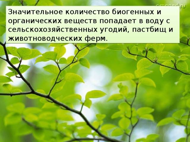 Значительное количество биогенных и органических веществ попадает в воду с сельскохозяйственных угодий, пастбищ и животноводческих ферм. 