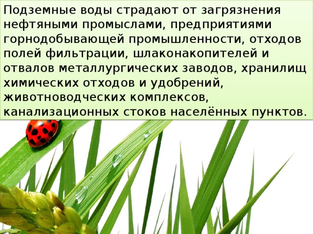 Подземные воды страдают от загрязнения нефтяными промыслами, предприятиями горнодобывающей промышленности, отходов полей фильтрации, шлаконакопителей и отвалов металлургических заводов, хранилищ химических отходов и удобрений, животноводческих комплексов, канализационных стоков населённых пунктов. 