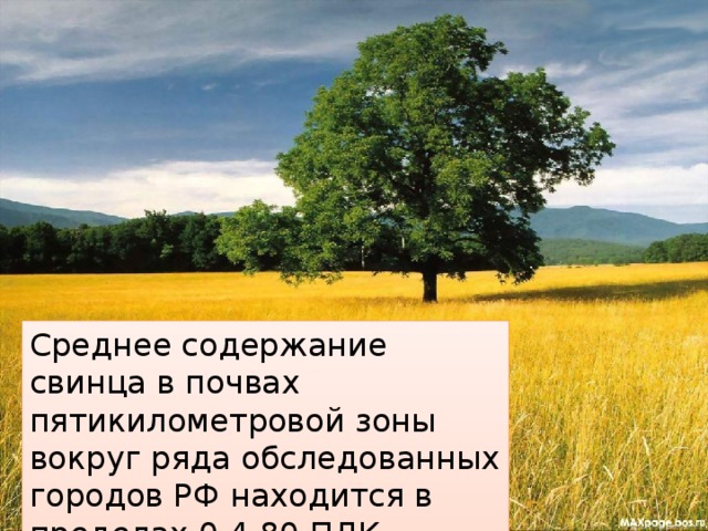 Среднее содержание свинца в почвах пятикилометровой зоны вокруг ряда обследованных городов РФ находится в пределах 0,4-80 ПДК. 