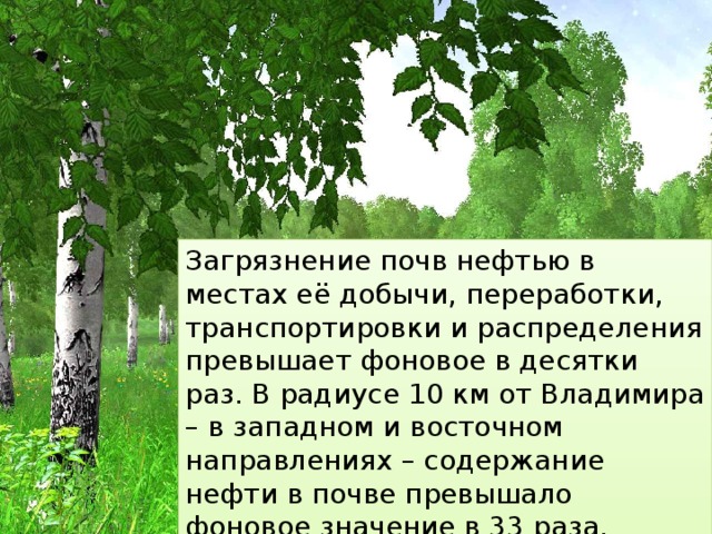 Загрязнение почв нефтью в местах её добычи, переработки, транспортировки и распределения превышает фоновое в десятки раз. В радиусе 10 км от Владимира – в западном и восточном направлениях – содержание нефти в почве превышало фоновое значение в 33 раза. 