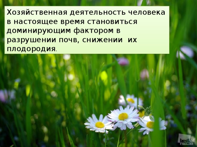 Хозяйственная деятельность человека в настоящее время становиться доминирующим фактором в разрушении почв, снижении их плодородия . 