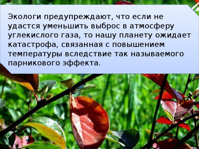 Экологи предупреждают, что если не удастся уменьшить выброс в атмосферу углекислого газа, то нашу планету ожидает катастрофа, связанная с повышением температуры вследствие так называемого парникового эффекта. 
