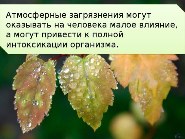 Атмосферные загрязнения могут оказывать на человека малое влияние, а могут привести к полной интоксикации организма. 