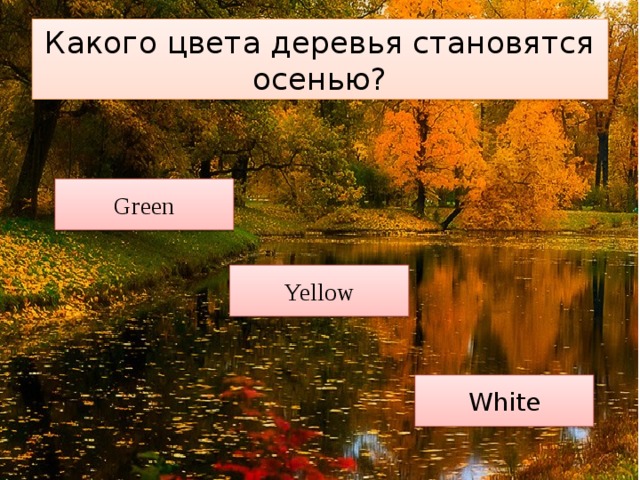 Какого цвета деревья становятся осенью? Green Yellow White 