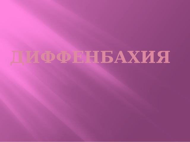 Диффенбахия 