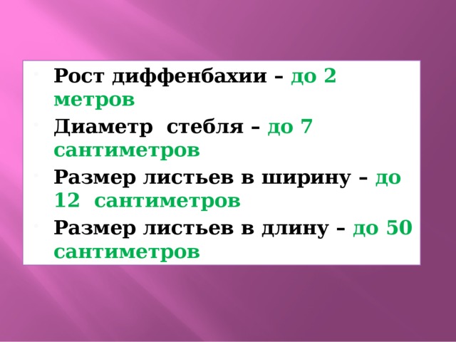 Рост диффенбахии – до 2 метров Диаметр стебля – до 7 сантиметров Размер листьев в ширину – до 12 сантиметров Размер листьев в длину – до 50 сантиметров 