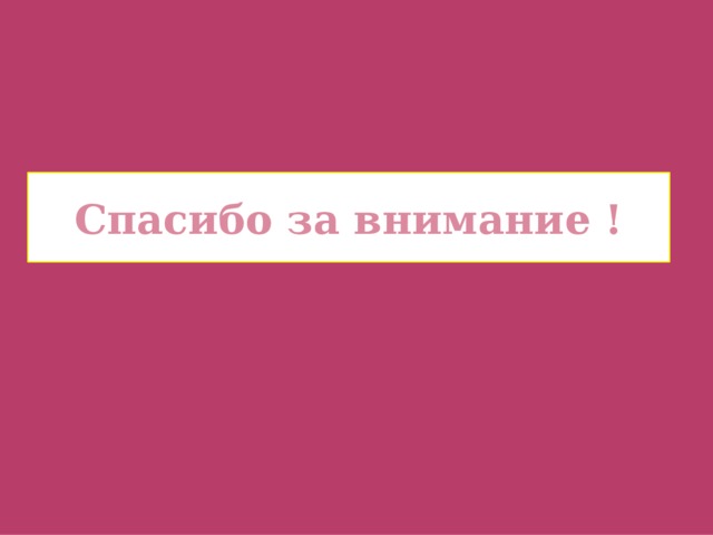 Спасибо за внимание ! 