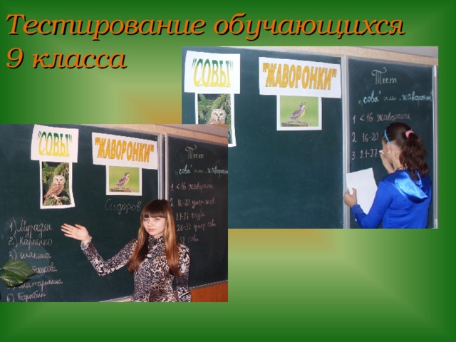 Тестирование обучающихся  9 класса 