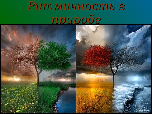 Ритмичность в природе МОУ 