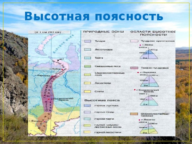 Высотная поясность 