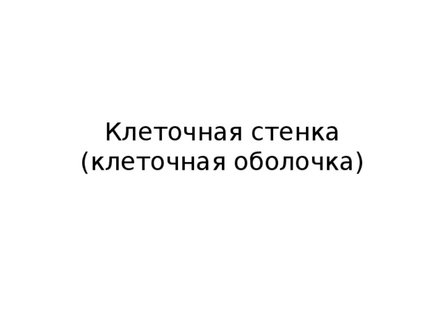         Клеточная стенка  (клеточная оболочка)   