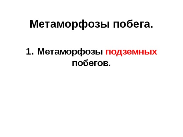 Метаморфозы побега.   1 .  Метаморфозы подземных побегов. 