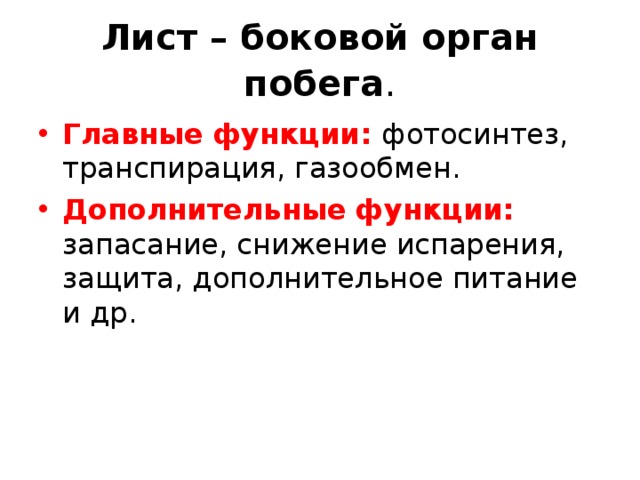 Лист – боковой орган побега . Главные функции: фотосинтез, транспирация, газообмен. Дополнительные функции: запасание, снижение испарения, защита, дополнительное питание и др. 