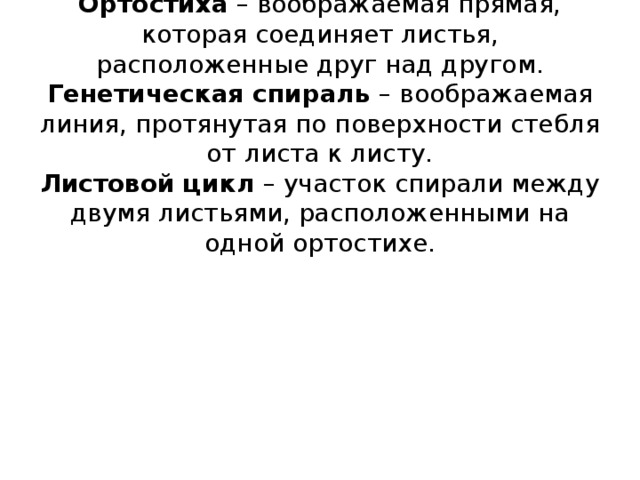 Ортостиха – воображаемая прямая, которая соединяет листья, расположенные друг над другом.  Генетическая спираль – воображаемая линия, протянутая по поверхности стебля от листа к листу.  Листовой цикл – участок спирали между двумя листьями, расположенными на одной ортостихе.   