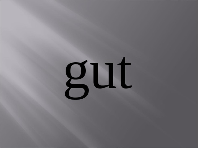 gut 