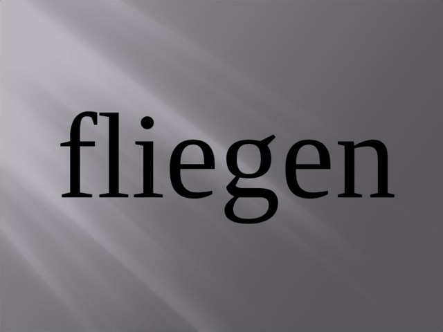 fliegen 