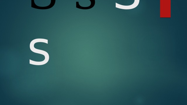 S s  S s 