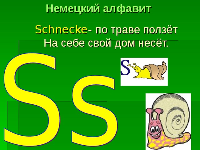Немецкий алфавит Schnecke -  по траве ползёт На себе свой дом несёт. 