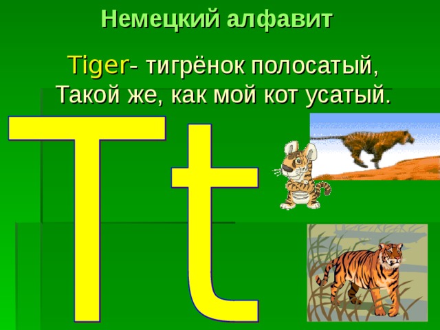 Немецкий алфавит Tiger -  тигрёнок полосатый, Такой же, как мой кот усатый. 