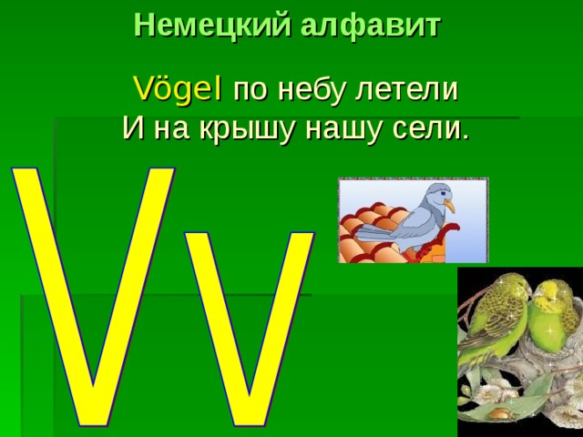 Немецкий алфавит Vögel  по небу летели И на крышу нашу сели. 